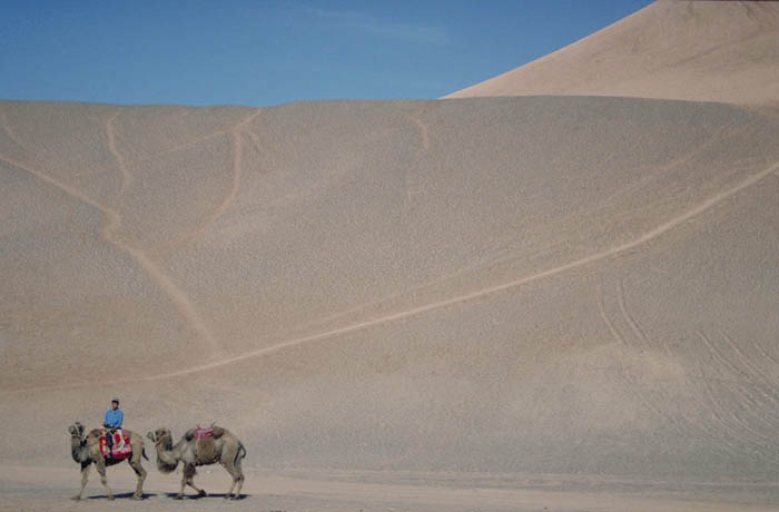 Sand dunes near Dunhuang with camels